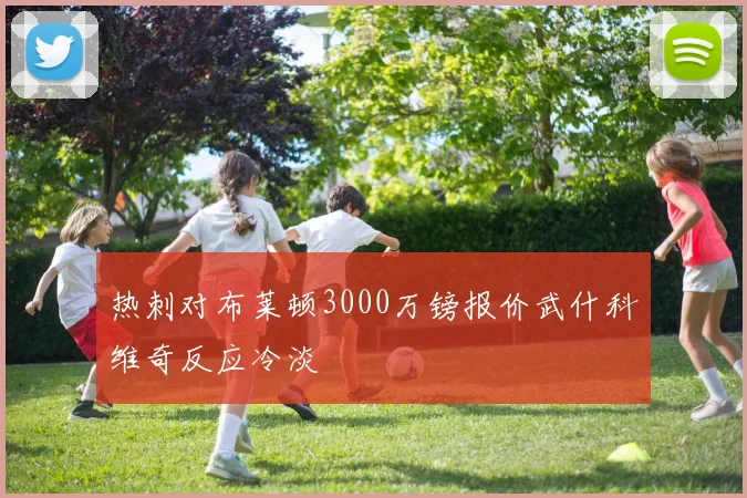 热刺对布莱顿3000万镑报价武什科维奇反应冷淡